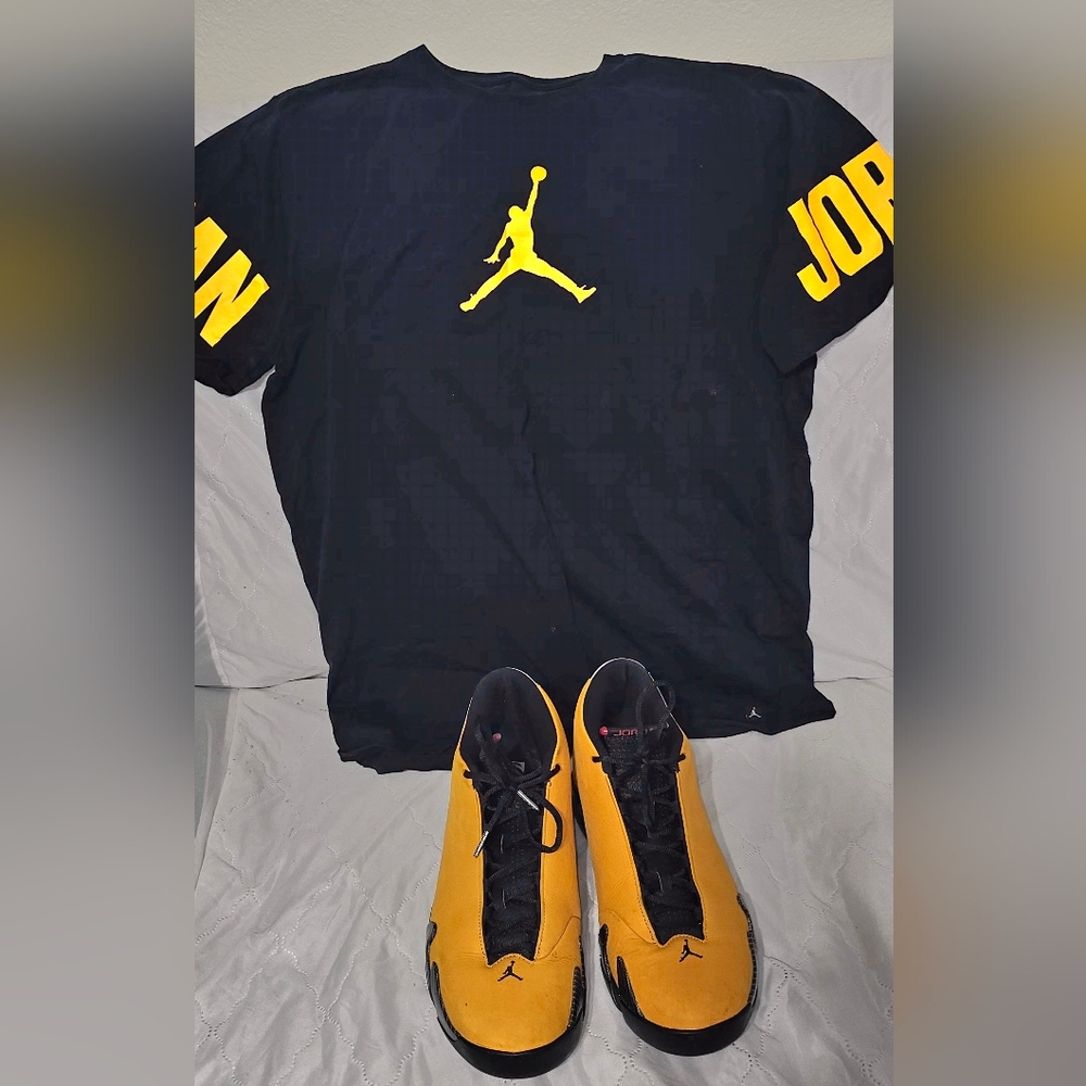 Air Jordan Reverse Taxi